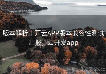 版本解析｜开云APP版本兼容性测试汇报，云开发app