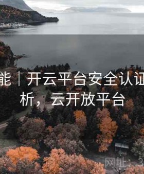 全新功能｜开云平台安全认证机制解析，云开放平台