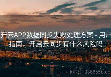 开云APP数据同步失败处理方案 - 用户指南，开启云同步有什么风险吗