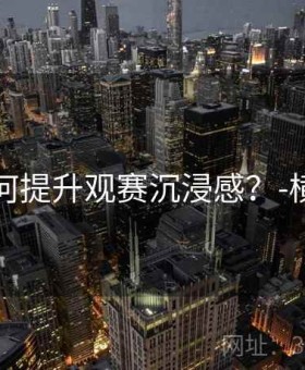 开云如何提升观赛沉浸感？-横向对比
