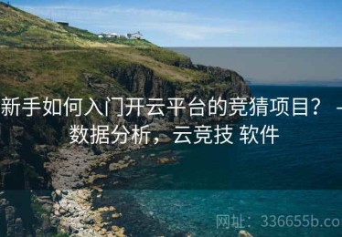 新手如何入门开云平台的竞猜项目？ - 数据分析，云竞技 软件