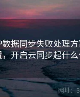 开云APP数据同步失败处理方案 - 高效设置，开启云同步起什么作用