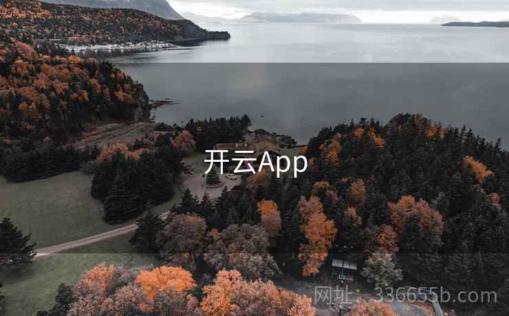 开云App