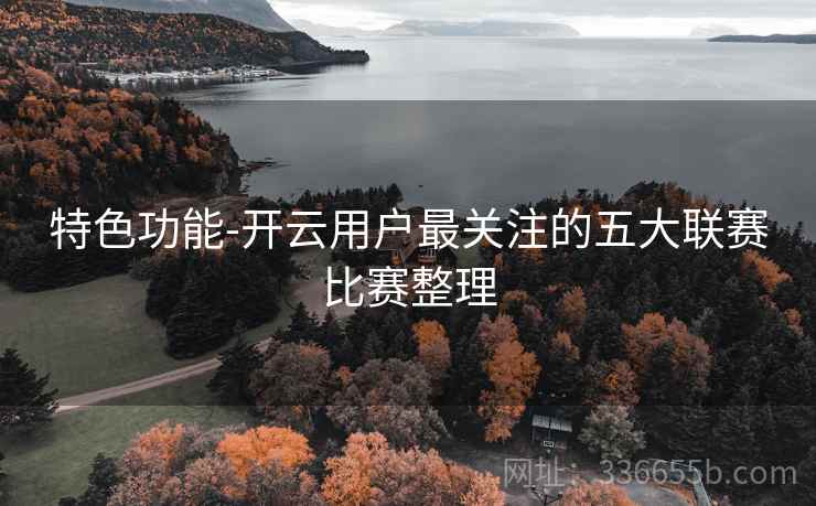 特色功能-开云用户最关注的五大联赛比赛整理