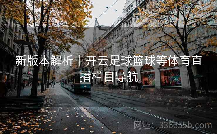 新版本解析｜开云足球篮球等体育直播栏目导航